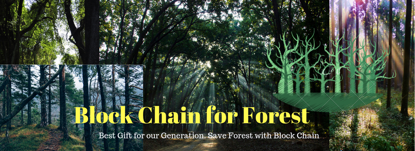Block Chain for Forest By Techaroha Solutions Private Limited